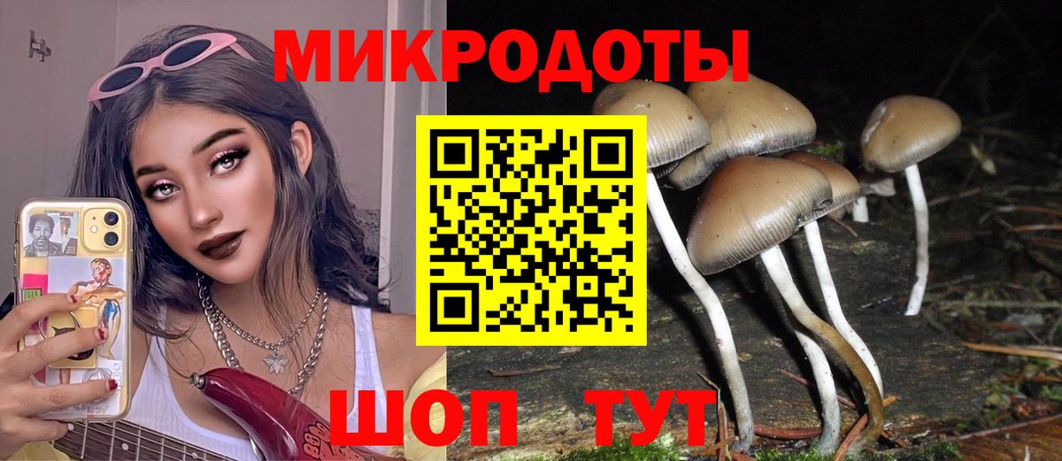Шатура  Галлюциногенные грибы GOLDEN TEACHER  Вход с VPN  Галлюциногенные грибы ЛСД 