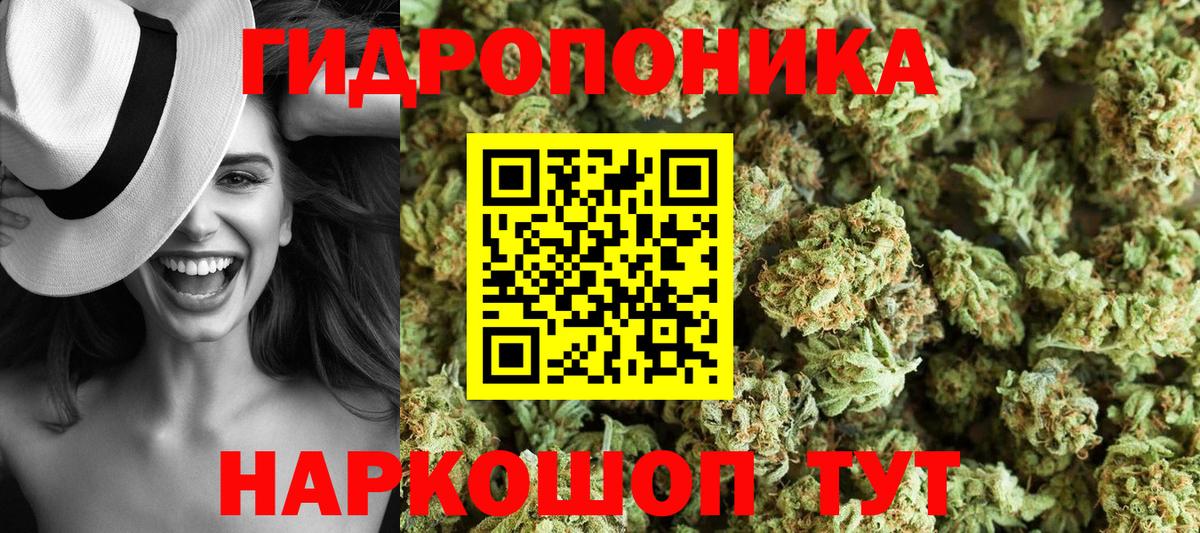 Шатура  Шишки марихуана план  Бошки Шишки семена  Вход с VPN  Марихуана индика 